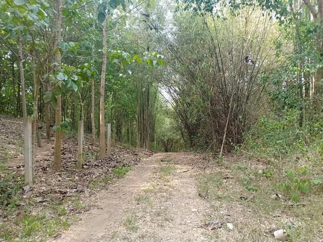 พื้นที่ดิน ที่ดิน ต.ปอน อ.ทุ่งช้าง จ.น่าน พ.ท. 408 RAI 1 NGAN 3 ตร.ว. 73400000 บาท โครตคุ้ม น่าน 3