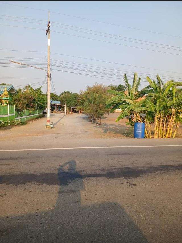 ขายถูกที่สุดบ้านสวนมี3หลังพร้อมที่ดิน295.5ตรว.โฉนดครุฑแดง ราคาถูกที่สุด1.35ล้าน โฉนดครุฑเเดง มีต้นไม้ผล 9