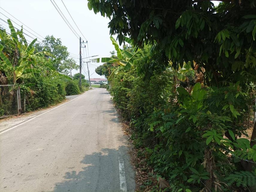 ขายที่ดิน 113ตร.ว. ต.สง่าบ้าน อ.ดอยสะเก็ด จ.เชียงใหม่ 2