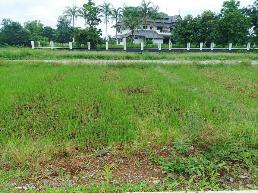 ขายที่ดิน ราคา8,500บาท/ตร.ว. ต.สำราญราษฏร์ อ.ดอยสะเก็ด จ.เชียงใหม่ 7