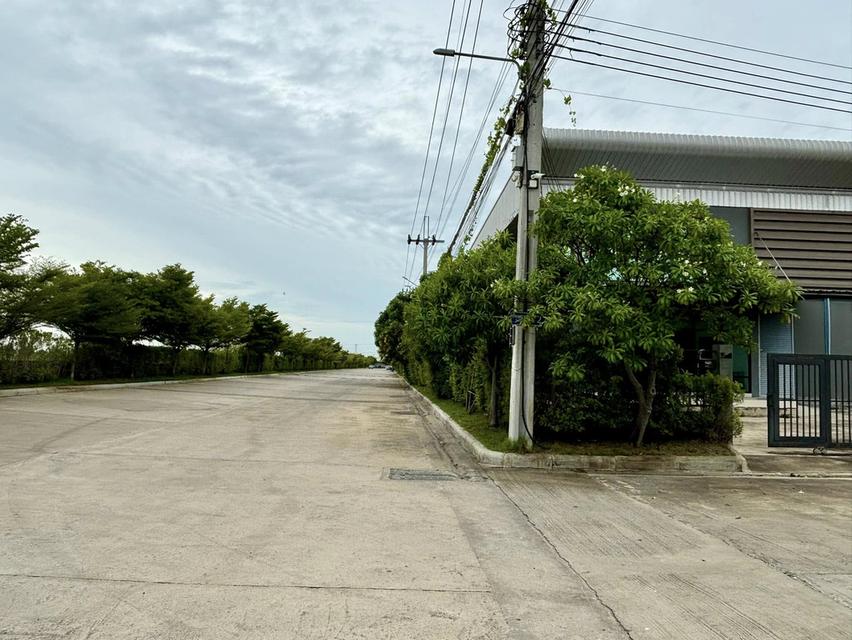 NO270โกดัง ให้เช่า บางนา เทพารักษ์ กม.25  โครงการ Prime Estate (ไพร์ม เอสเตท) 4
