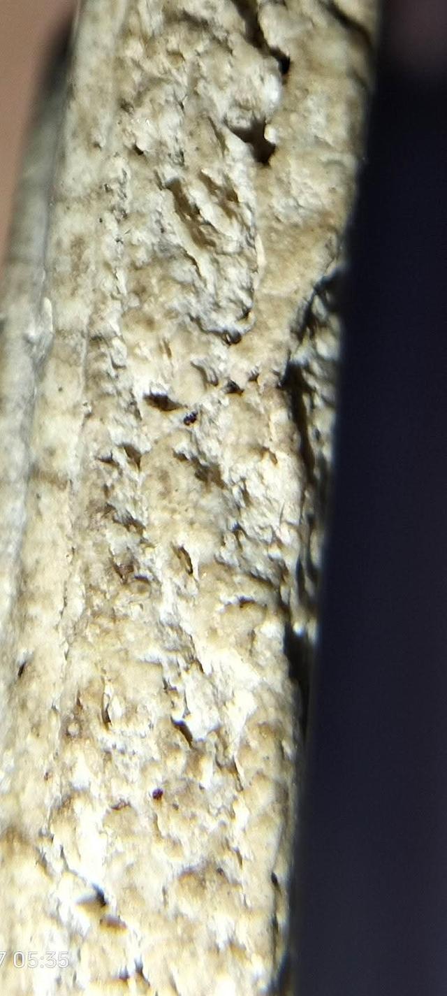 พระสมเด็จวัดระฆังพิมพ์อกกระบอกเล็ก รูปที่ 8