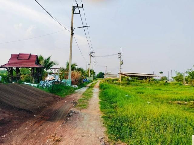 ขายที่ดินมายไผ่บ้านบึงชลบุรี ผังสีเหลือง บนเนื้อที่ 1-1-74 ไร่ เหมาะสำหรับสร้างโกดัง,โรงงานขนาดเล็ก 1
