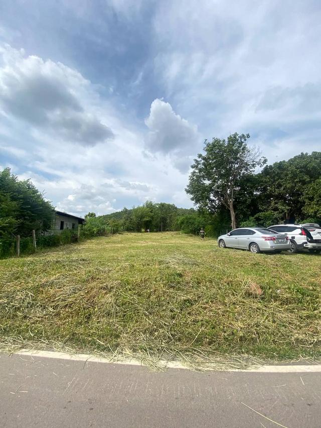 📣 โอกาสทอง! ที่ดินเกือบ 2งาน 270,000บาท ทำเลดี อ.เมืองลำพูน ราคาสุดคุ้ม! 🏡✨ 7