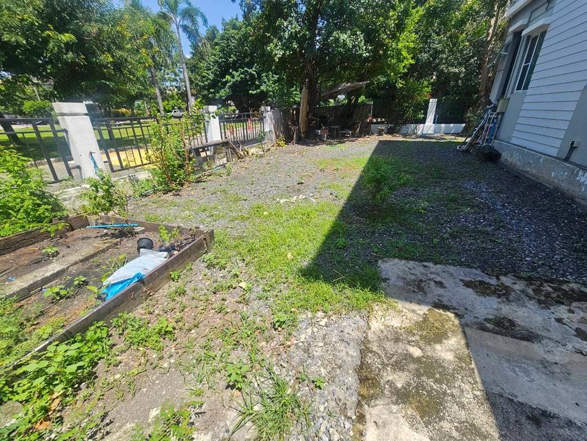 บ้านเดี่ยว 75.5 ตรว. หลังมุม ติดสวน รังสิต-ธัญบุรี-ปทุมธานี 12