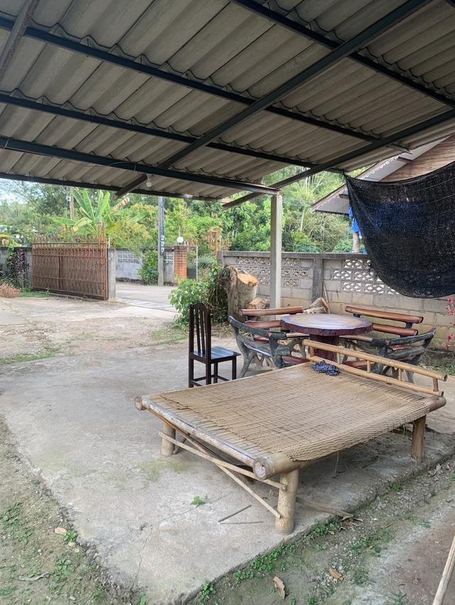 บ้านพร้อมที่ดินในตัวเมืองเชียงดาว 20