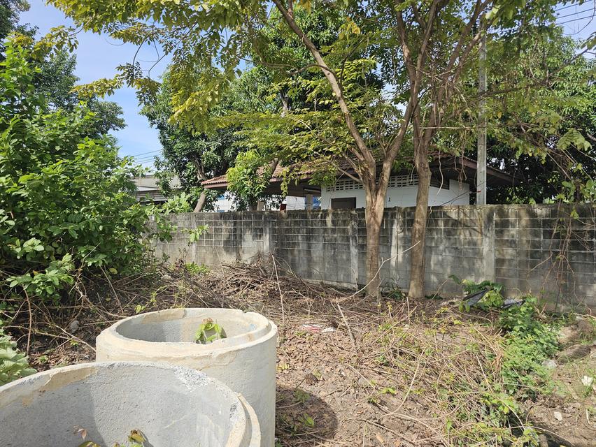 ให้เช่าที่ดินทำเลทอง 5 ไร่เศษ ติดถนนบางบัวทอง-สุพรรณบุรี (ทล.340) ฝั่งขาออก 8