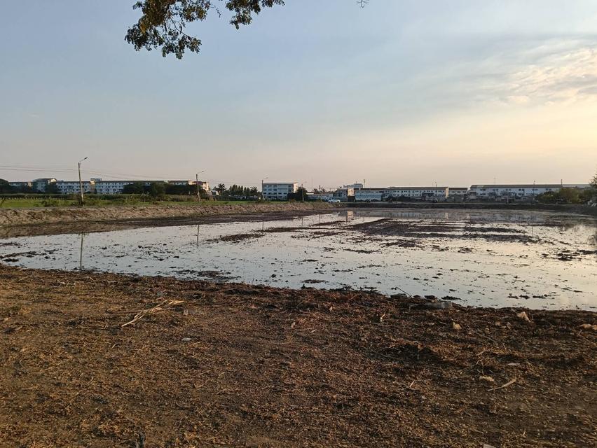 ขายที่ดิน 2 แปลง บางบัวทอง ติดหมู่บ้านเมืองทองธานี 5