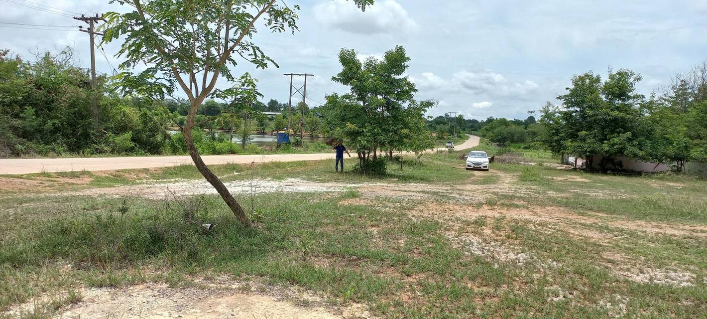 ที่ดินโคกสี 1งาน79ตร.วา อ.เมือง ขอนแก่น 1