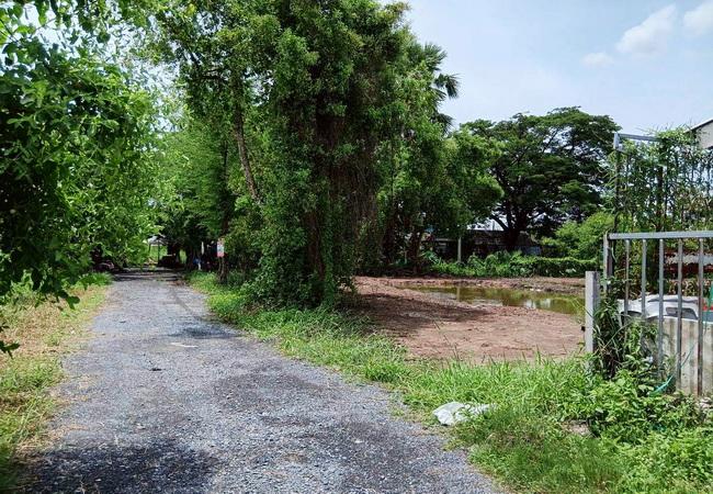 ขายที่ดิน ซอยมิตรไมตรี 14 ถนนมิตรไมตรี หนองจอก กรุงเทพ เนื้อที่ 1 ไร่ ถมแล้ว 3