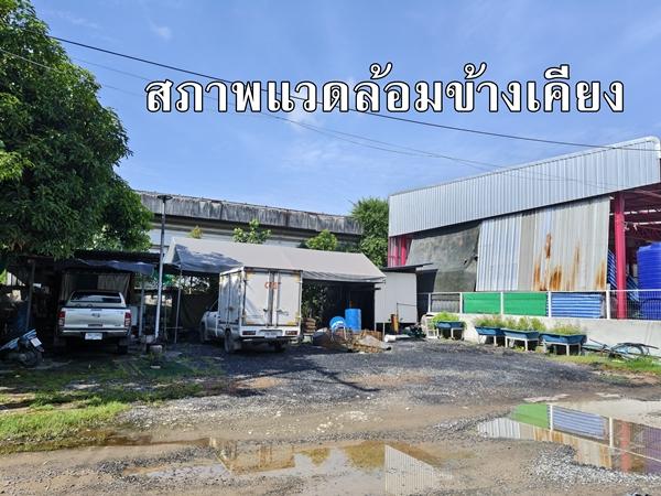 ขาย ที่ดิน ติด ถ.ร่มเกล้า ร่มเกล้า 52 ลาดกระบัง 80 ตารางวา ใกล้มอเตอร์เวย์ สนามบินสุวรรณภูมิ เหมาะทำโกดังเก็บของ 6
