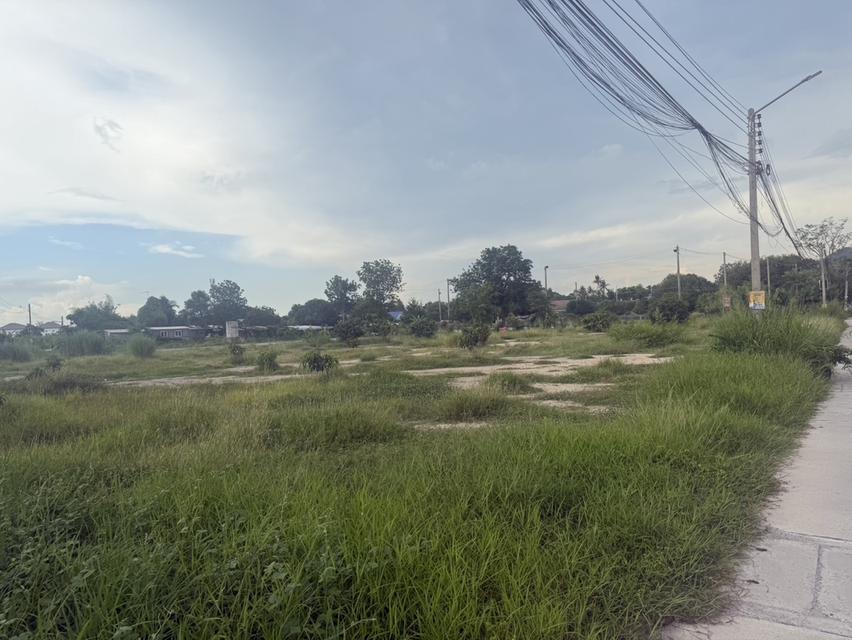 ขายที่ดิน ชลบุรี 7