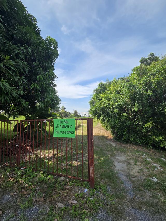 ขายที่ดิน วัดชลอ บางกรวย 1