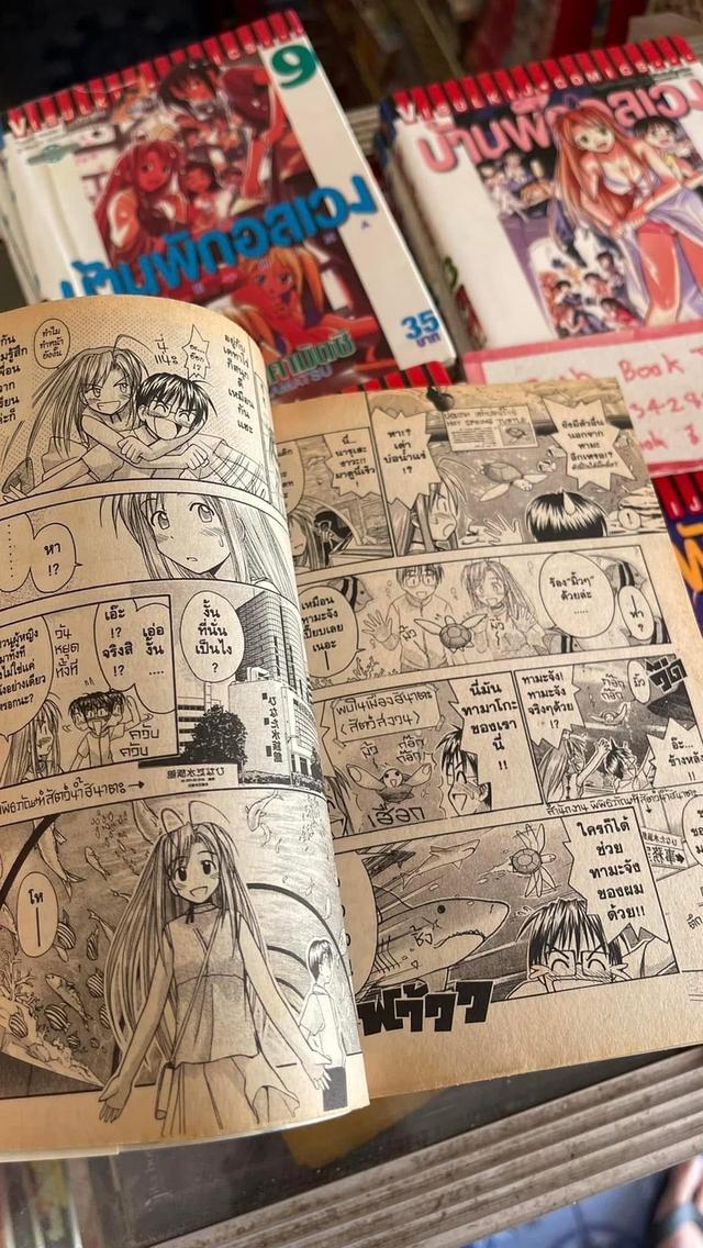 หนังสือการ์ตูน Love Hina บ้านพักอลเวง 1-14 จบ 6