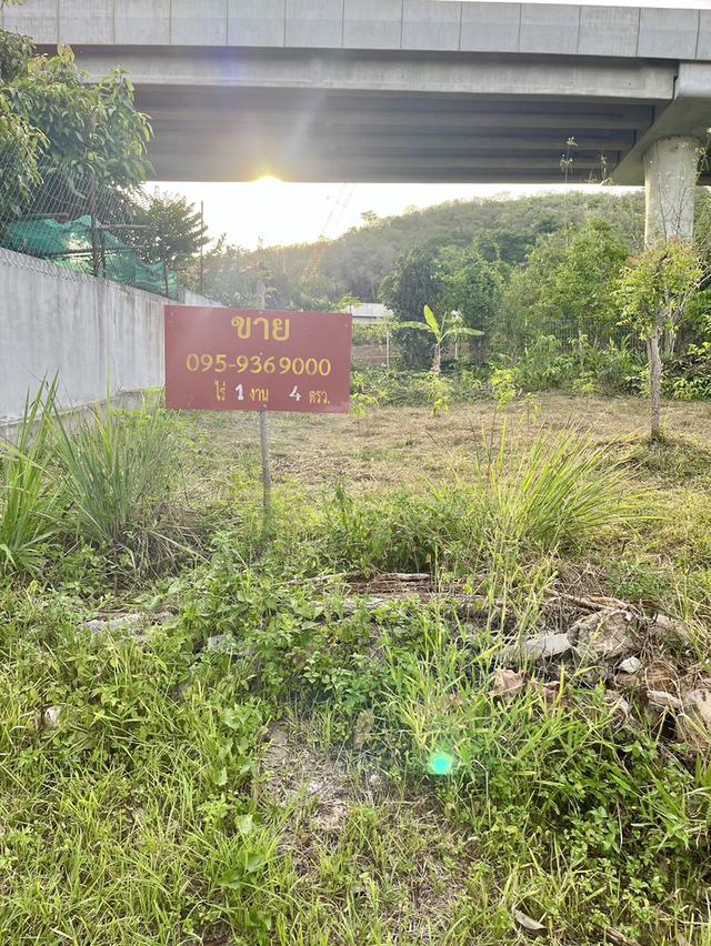 ขายที่ดินโฉนดเขาใหญ่ 104 ตร.วา. ใกล้ตัวเมืองปากช่องและถนนมิตรภาพสายเก่า 1