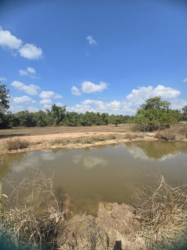 ที่ดินเปล่า ทำสวนทำนาได้ 5ไร่ 2