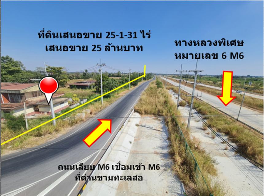 ขาย ที่ดิน ติดถนนสายขามทะเลสอ-โนนไทย  ทล.2068  เชื่อมออกทางหลวงพิเศษ M6 ได้ เนื้อที่ 25 ไร่ 1 งาน 31 ตรว ราคายุติธรรม 4