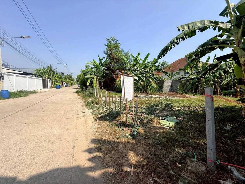 ขายถูกที่ดินลาดสวาย 124 ตรว ติดถนนคอรกรีตสาธารณะ ถมแล้ว ซ.ร่วมสุข 3 อ.ลำลูกกา จ.ปทุมธานี รูปย่อยที่ 5