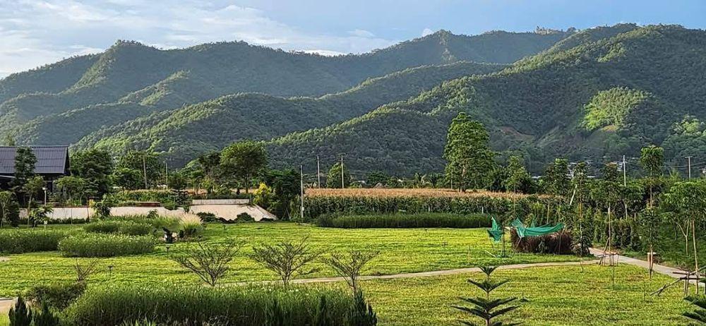 ขายที่ดินพร้อมบ้านพักตากอากาศ วิวเขาล้อมรอบ เงียบสงบ ตรงข้ามวัดท่าตอน จ.เชียงใหม่ 