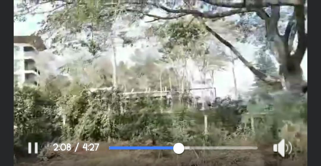 ขายที่ดิน 2
