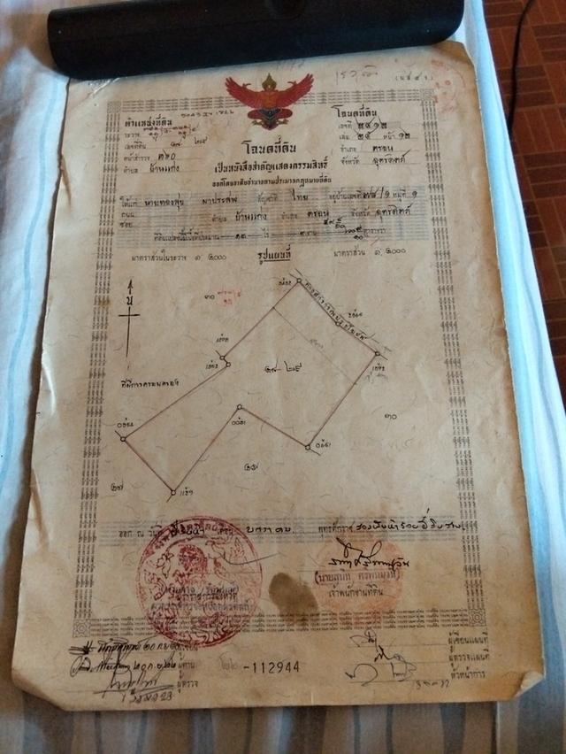 สวนมะม่วง 13 ไร่3งาน จะแบ่งขาย 2-3 ไร่ มีโฉนด ติดถนนคอนกรีต มีน้ำประปาไฟฟ้าพร้อม 1