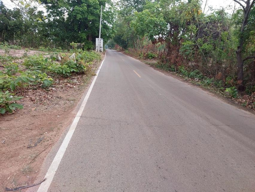 ที่ดินเปล่า โฉนด สกลนคร 2