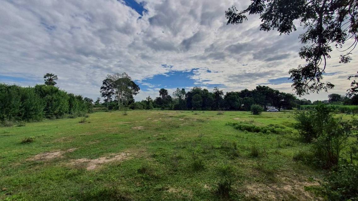ที่ดิน อู๋ทอง สุพรรณบุรี 3