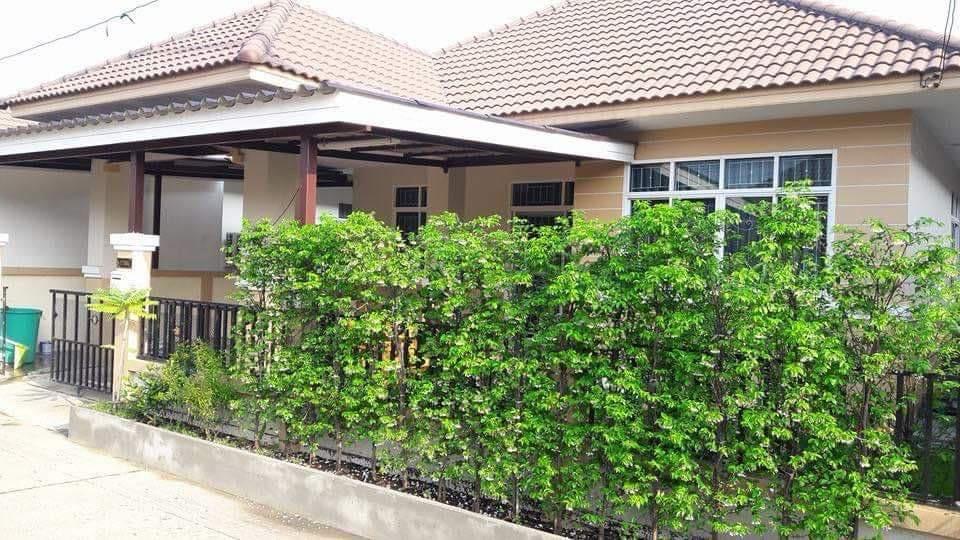 บ้านพร้อมที่ดิน 5