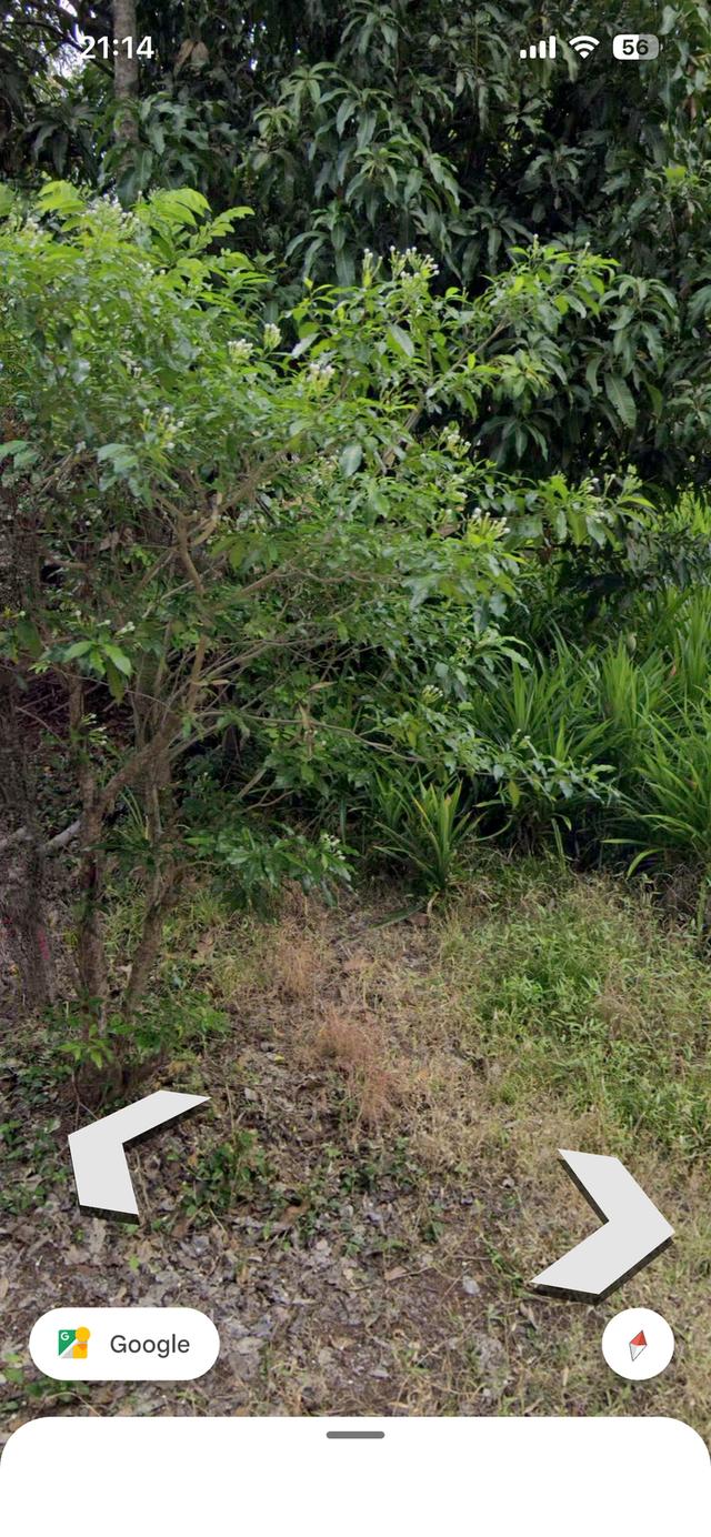 ที่ดินเปล่าติดอุทยานศรีเทพ 2