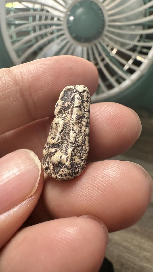 ขุดสระเล็ก วัดกิ่งแก้ว สมุทรปราการ รูปที่ 3