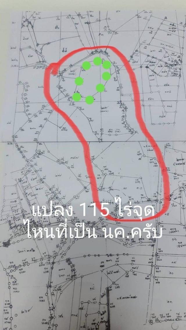 ขายที่ดิน ปากช่อง หนองสาหร่าย 8