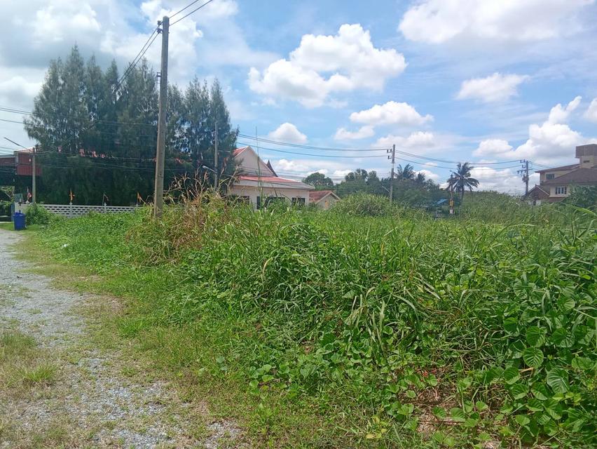 ที่ดิน ใกล้ ม.มหิดล ศาลายา 3