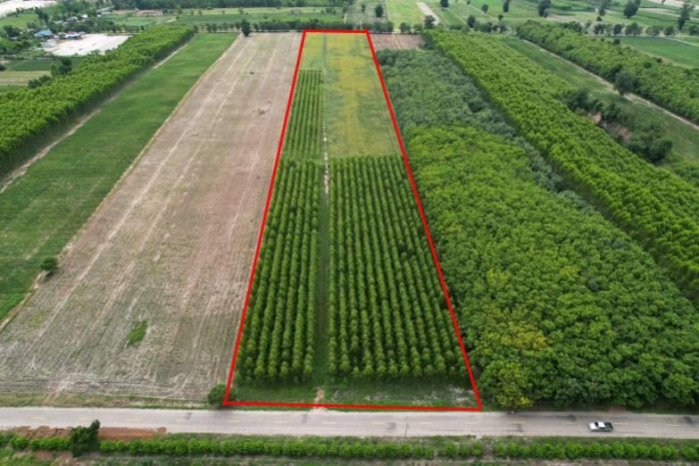 ขายที่ดินสวยราคาถูก ในตำบลไตรตรึงษ์ อำเภอเมืองกำแพงเพชร ติดถนนสองด้าน ติดทางสาธารณะ 1