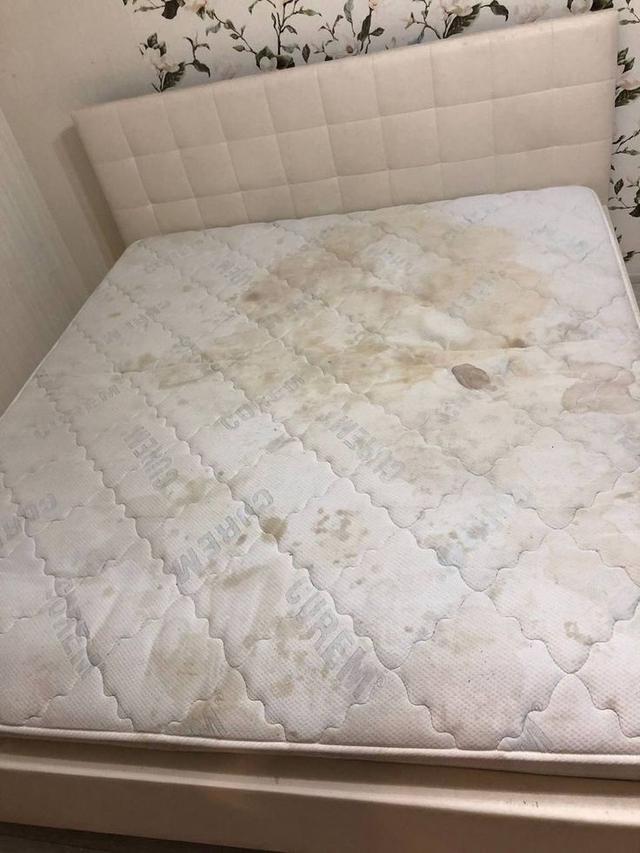 รับจ้างซักกำจัดคราบสกปรกเปื้อนที่นอนและโซฟาทุกคราบทุกชนิด รูปที่ 4