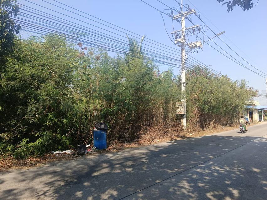ขายที่ดิน 10 ไร่ ที่หน้าติดถนนคลอง6  รังสิต-ปทุมธานี 5