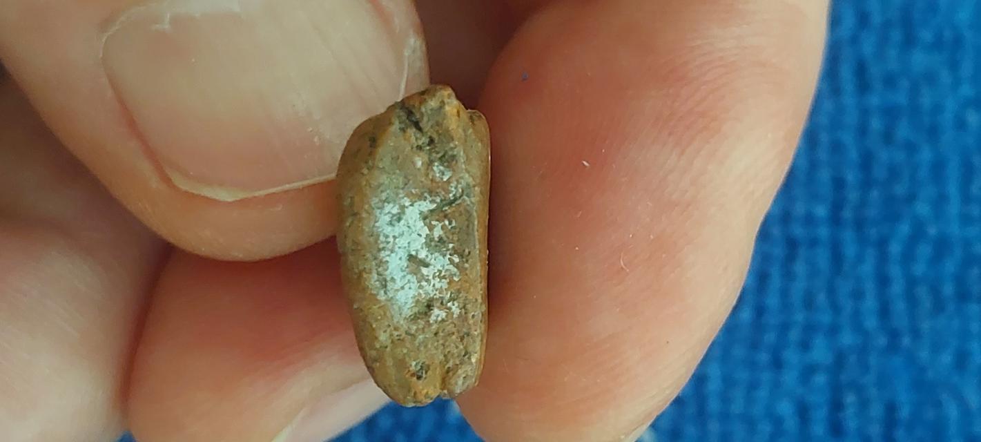 พระนางพญา พิมพ์เล็กเข่าตรง กรุวัดนางพญาพิษณุโลก รูปที่ 12