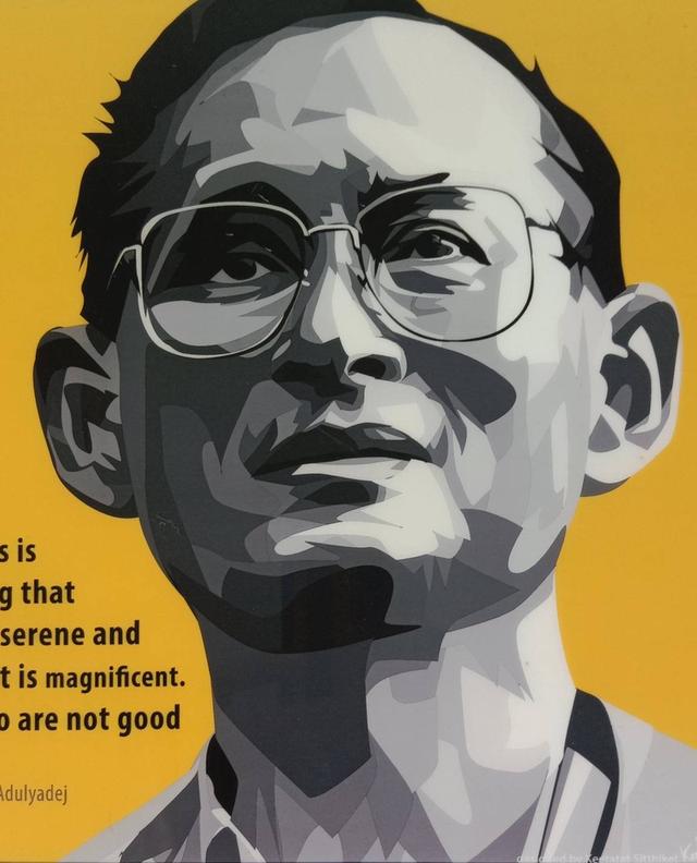 543.พระบรมฉายาลักษณ์พระบาทสมเด็จพระเจ้าอยู่หัวรัชกาลที่ 9 งานกรอบรูปกราฟิกดีไซน์ แบบ Pop Art ด้วยคุณภาพสีชัดคม รูปที่ 2