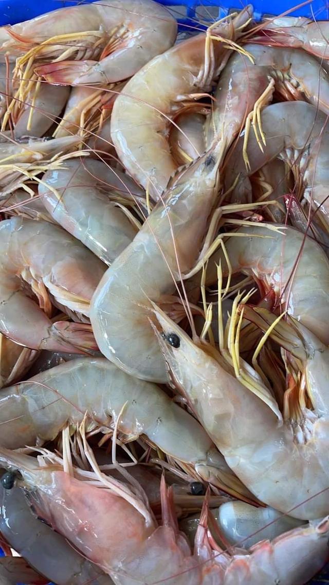 กุ้งแช่บ๊วย พร้อมส่ง ราคาถูก 3