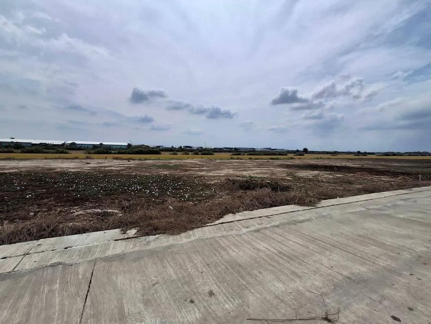 ที่ดินทำเลทอง ติดแหล่งชุมชน 3