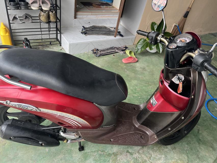 มอเตอร์ไซค์ Honda scoopy i มือสองปี2010 รูปที่ 4