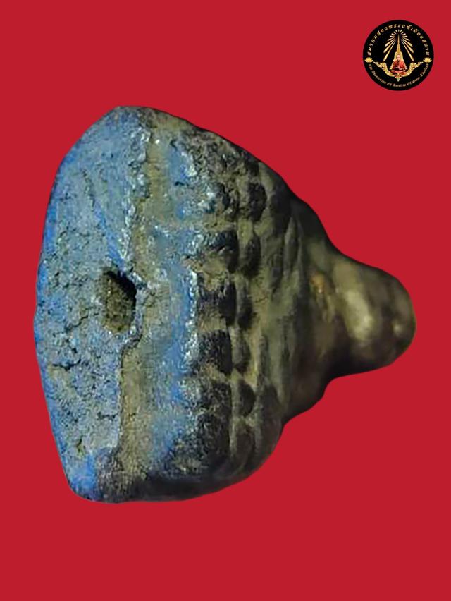 หลวงปู่ทวดเนื้อว่านพิมใหญ่ ไหลจุด พิมC 5