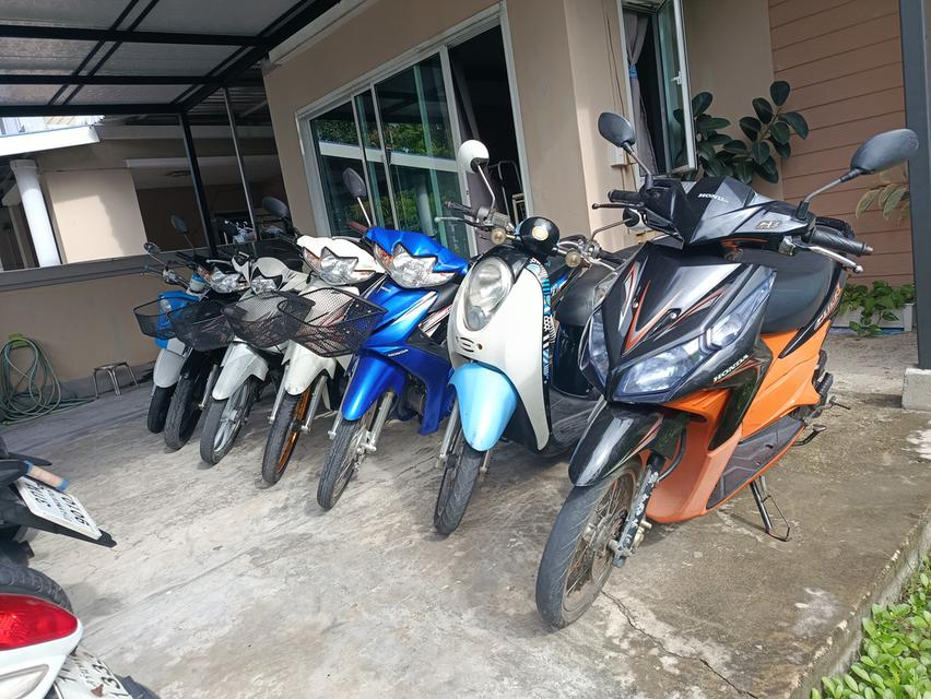 Scoopy-i  5