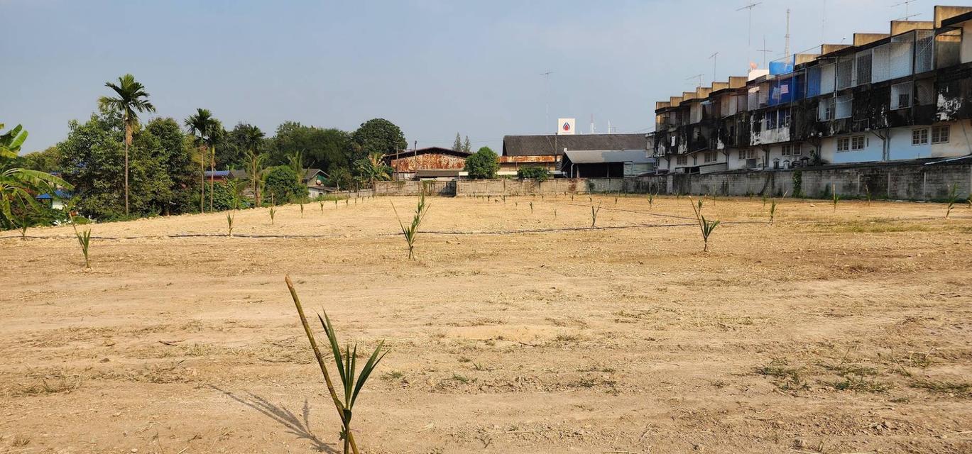 ขายด่วน! ที่ดินทำเลทองติดถนนเพชรเกษม จ.ราชบุรี (ถมแล้วทั้งแปลง) 2
