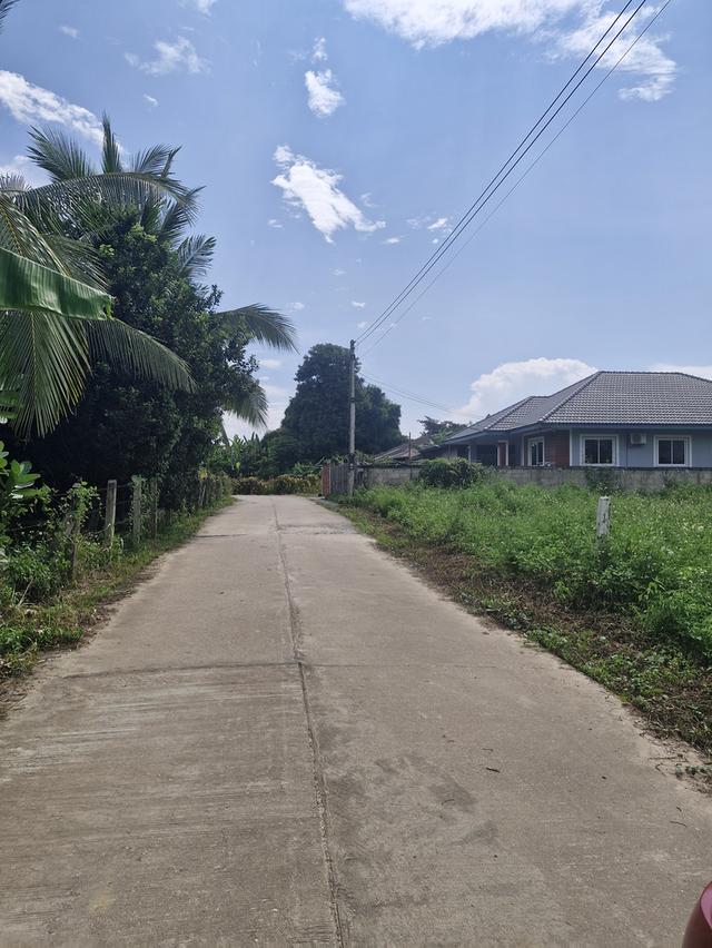 ขายที่ดินทำเลทองเมืองเชียงราย 4