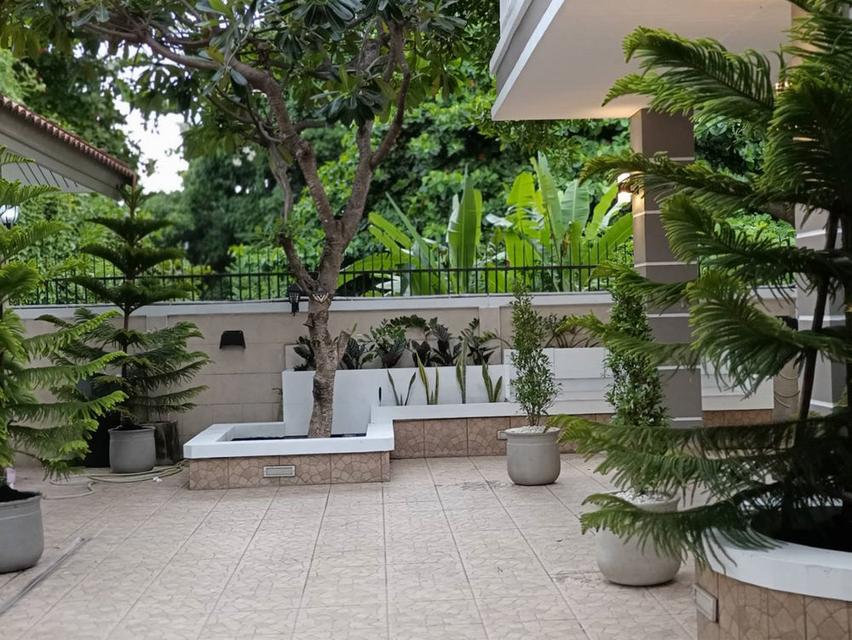 ขายด่วน บ้านใหญ่ แถมบ้านหลังเล็ก ใจกลางลาดพร้าว 64 บรรยากาศเหมือนรีสอร์ท รถไฟฟ้าสีเหลือง หน้าปากซอย 6