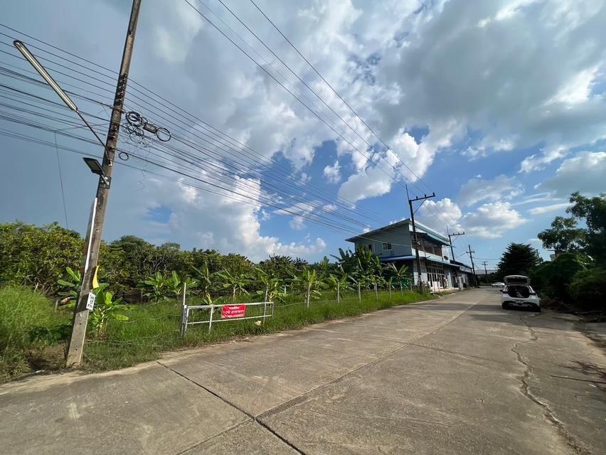 ขายที่ดินเชียงใหม่ 4
