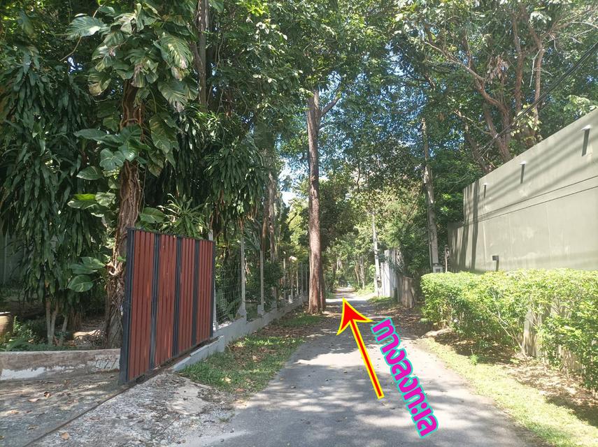 พูลวิลล่า ใกล้ทะเล พัทยา ชลบุรี 11