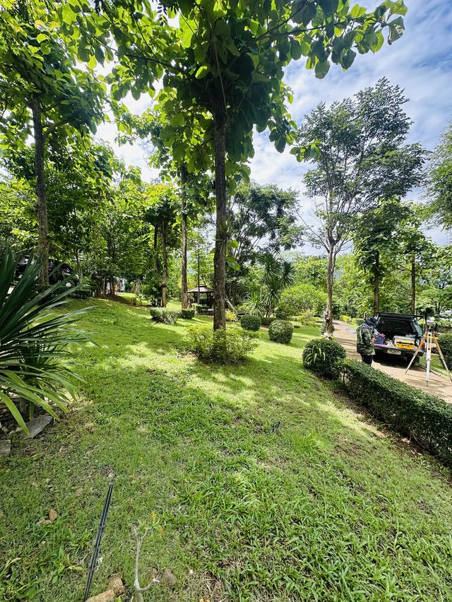 ที่ดิน เนินเขา ติดรีสอร์ท