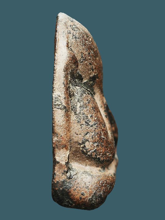 พระปิดตาหลังแบบ หลวงพาอแก้ว วัดเครือวัลย์ พิมพ์กลาง ขนาด 2.0x2.5 ซม. หายากมาก รูปที่ 4