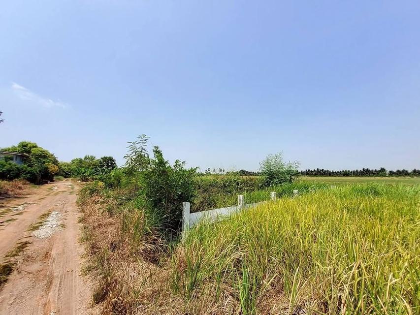 ขายด่วน ที่ดินตรงข้ามองค์การบริหารตำบลบ่อเงิน 40 ตารางวา ถนนสาธารณะ ถมแล้ว ต.บ่อเงิน อ.ลาดหลุมแก้ว จ.ปทุมธานี 3